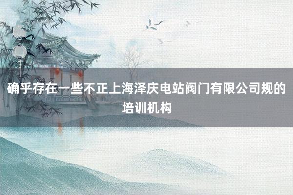 确乎存在一些不正上海泽庆电站阀门有限公司规的培训机构
